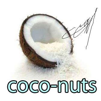 coco-nuts